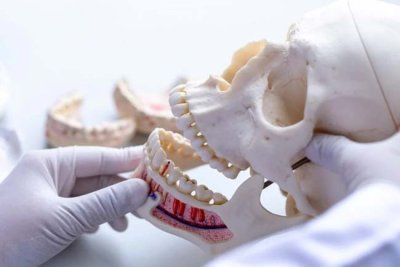 Oral and Maxillofacial Surgery